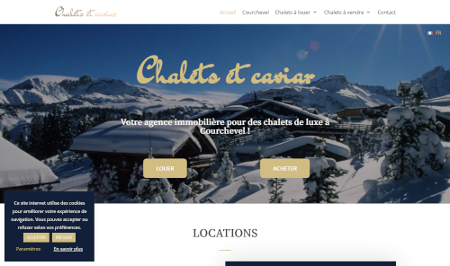 Capture d'écran du site